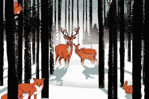 Illustration of animals standing in a snowy winter forest