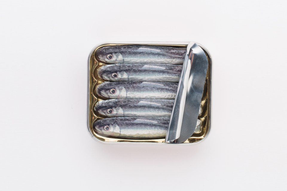 How to Get Rid of Smoke Smell and Dog Smell in House