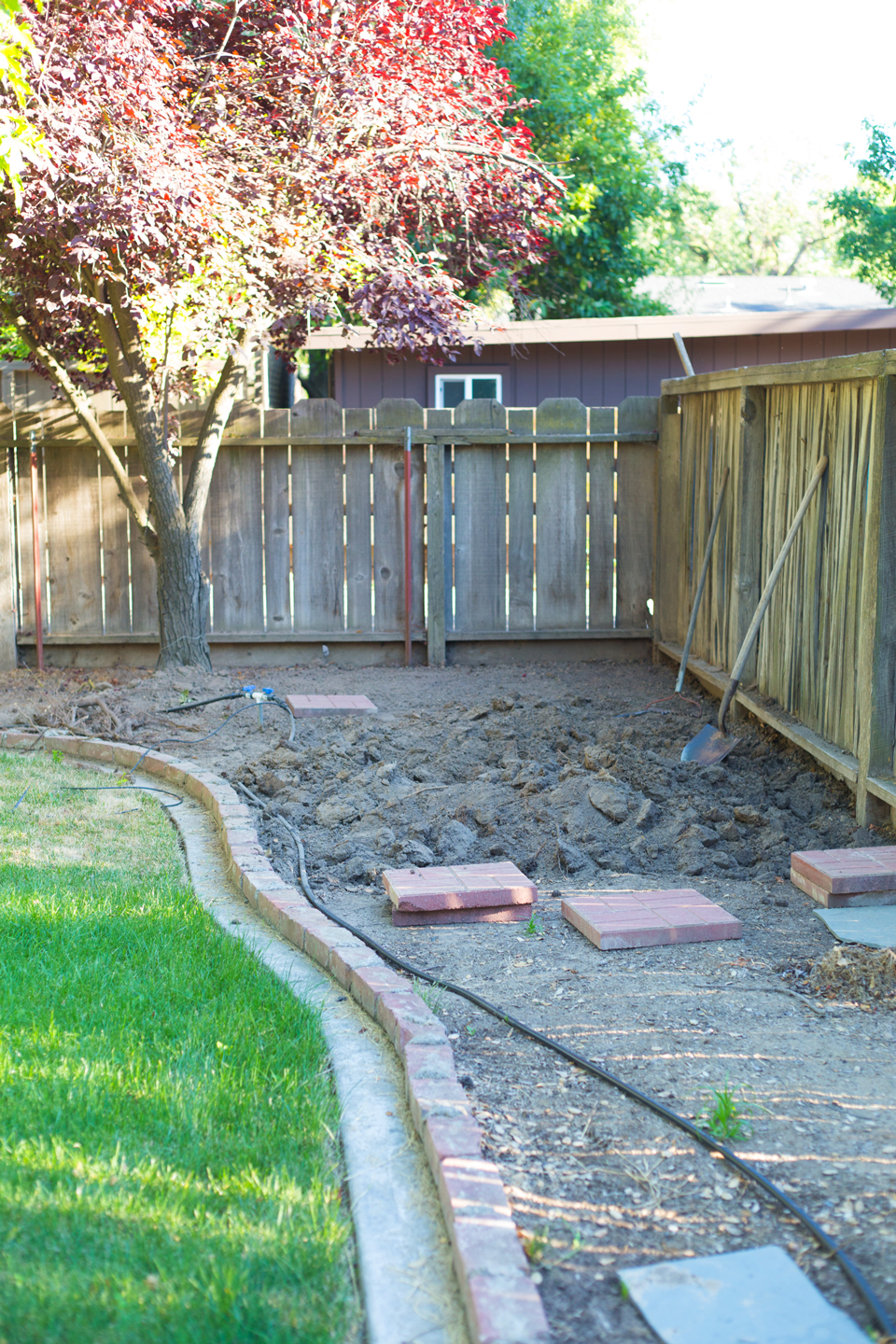 A before image of a backyard with grass and dirt patch