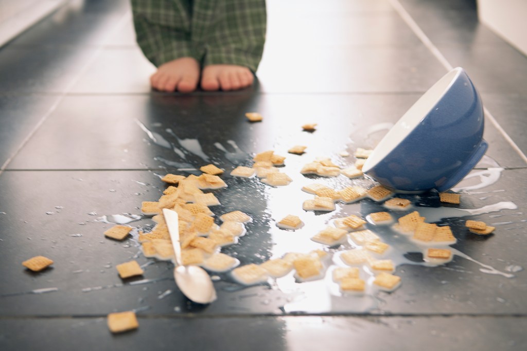 Bowl dropping to the floor in a home kitchen