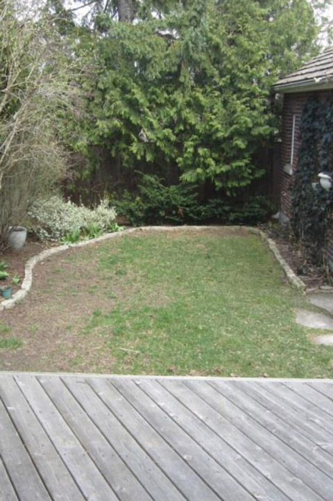 A before image of a patch of grass in a backyard