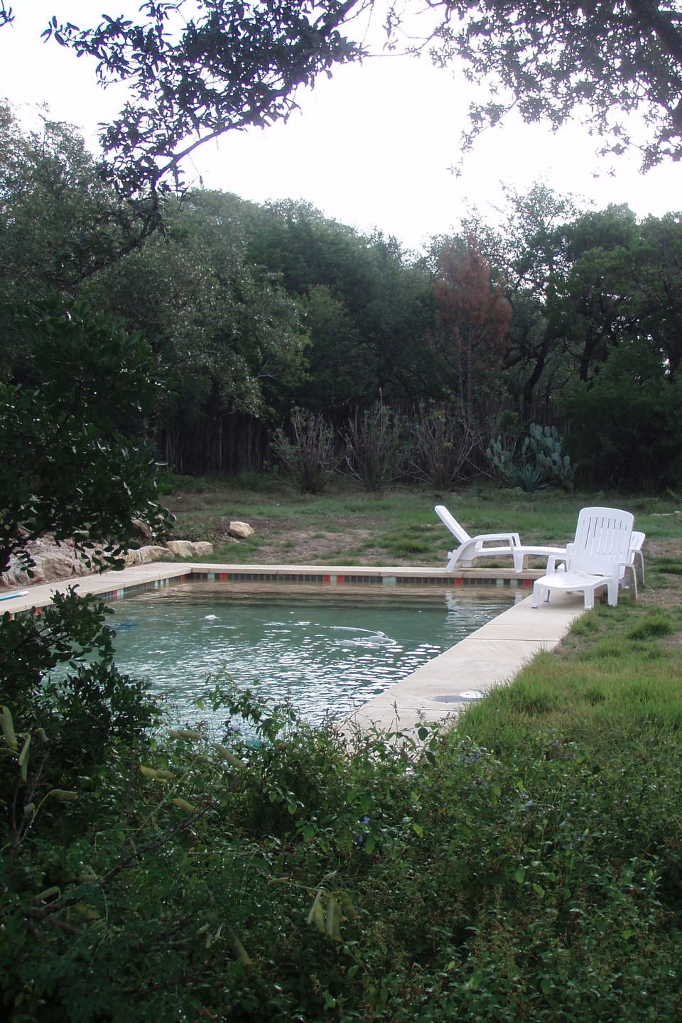 A before image of patchy grass and a pool