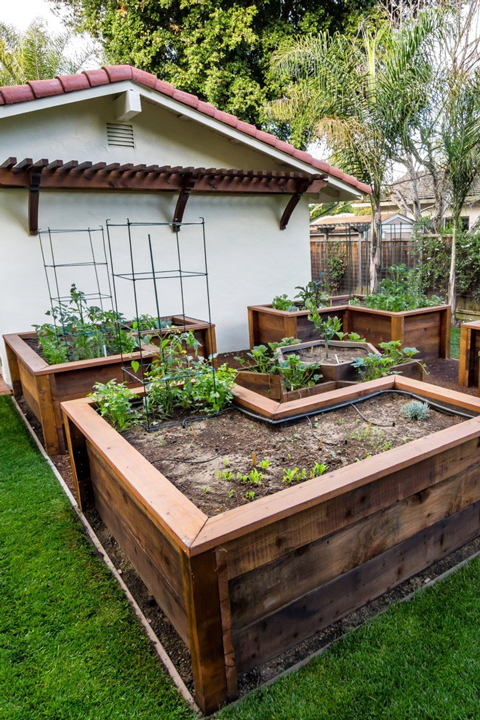 An after image of a backyard with raised garden beds