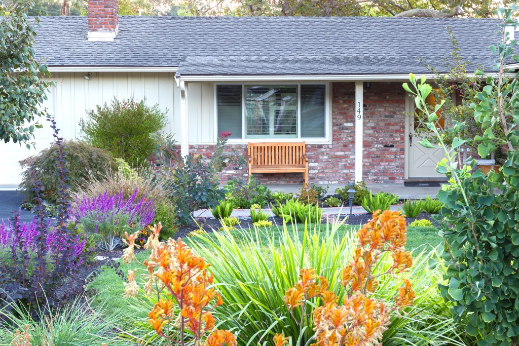 Simple Diy Front Yard Landscaping Ideas, Front Yard Landscaping With Plant Names And Pictures