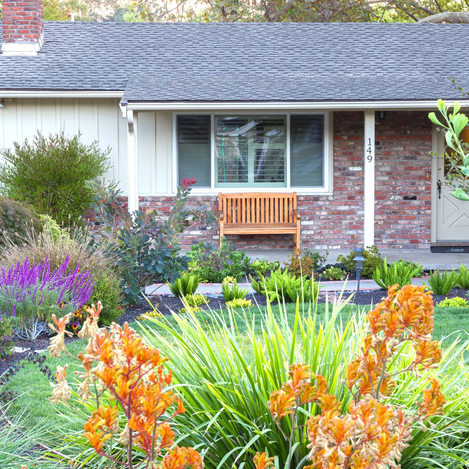 Colorful front yard flowers