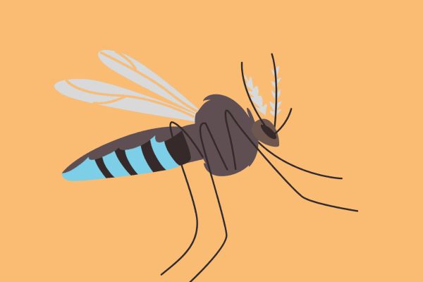 Annoying mosquito illustration