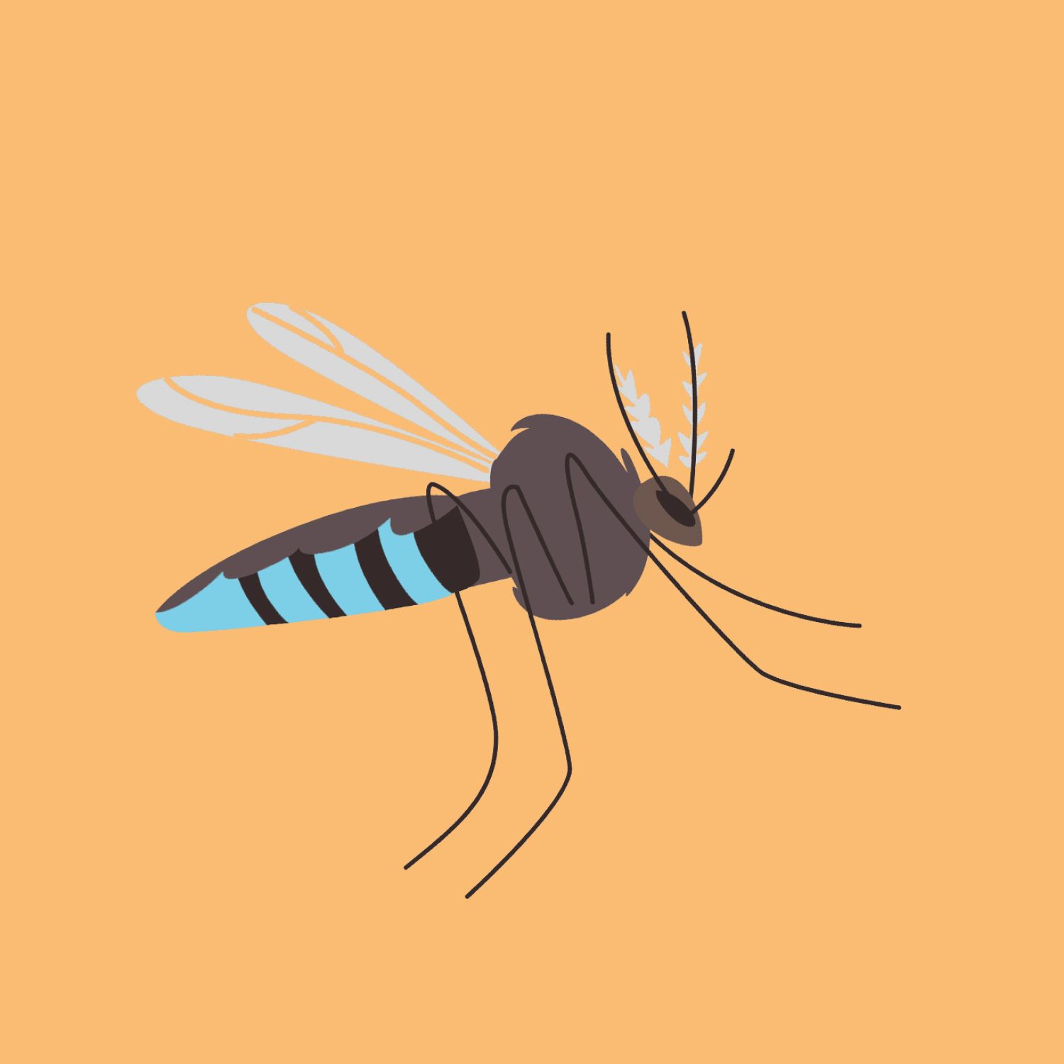 Annoying mosquito illustration