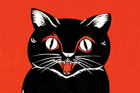 Retro illustration of black cat on orange-red background