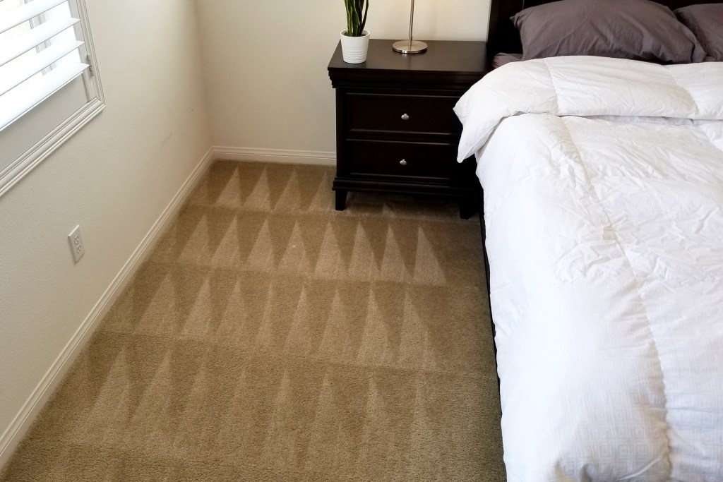 Brown carpet with perfect geometric-patterned vacuum lines