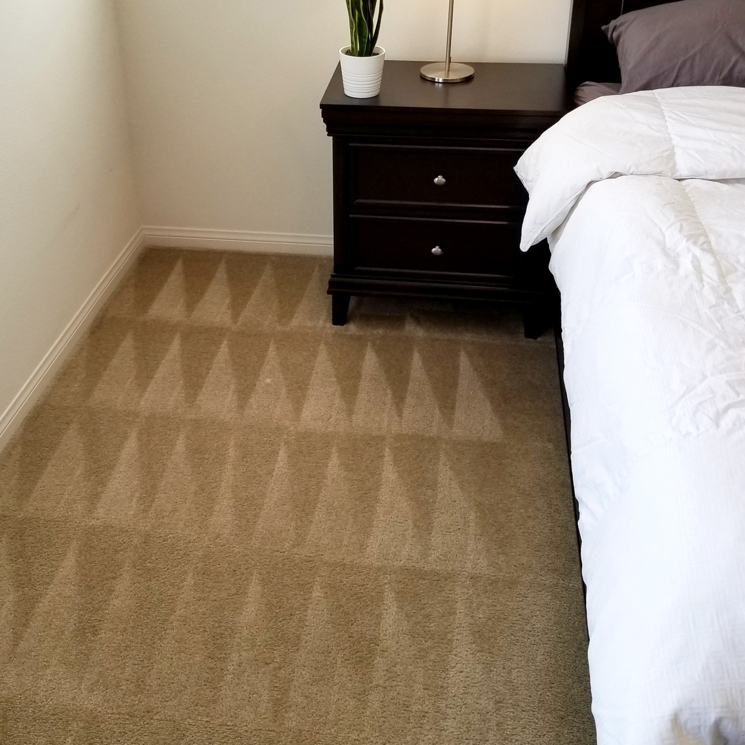 Brown carpet with perfect geometric-patterned vacuum lines