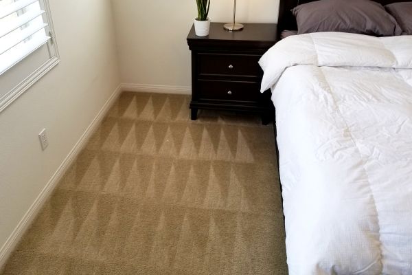 Brown carpet with perfect geometric-patterned vacuum lines