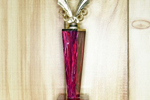 Red and gold trophy on shelf against wood-paneled wall