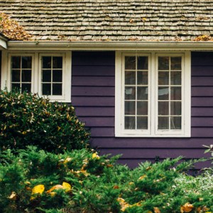 Home maintenance tips