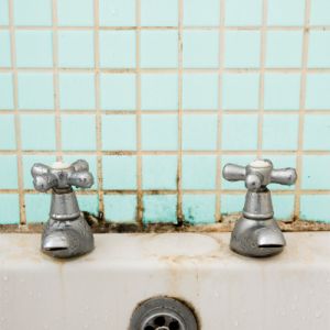 Moldy tile in a home shower