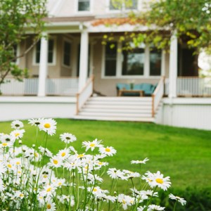 Patio ideas