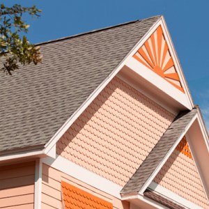 Exterior of house showing roofing and gutters