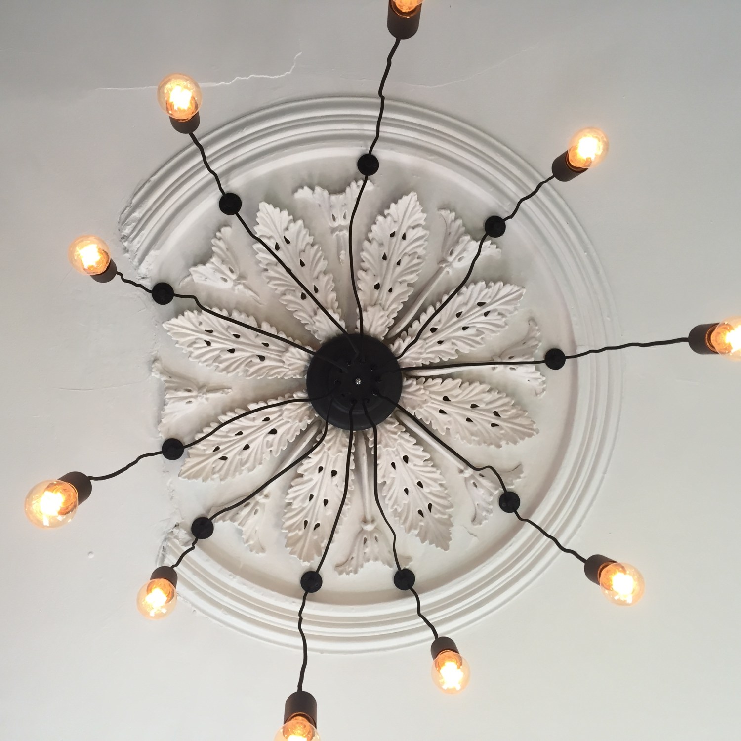 Clean lights to help homeowner save money with ceiling rose