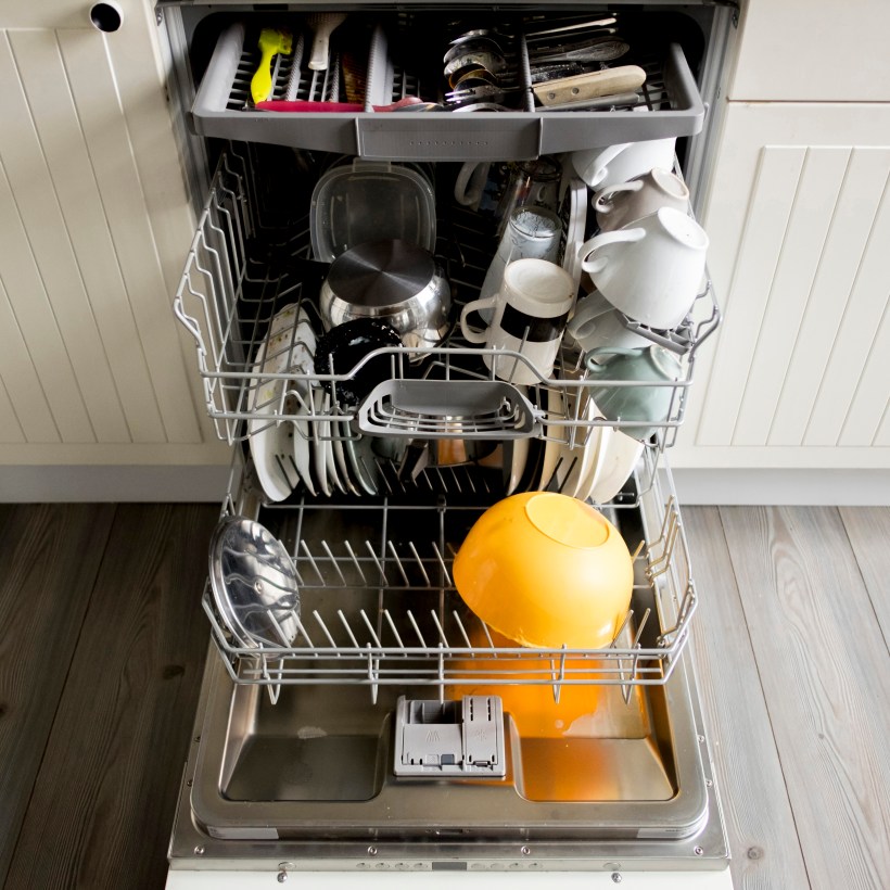 Dishwasher full of dishes