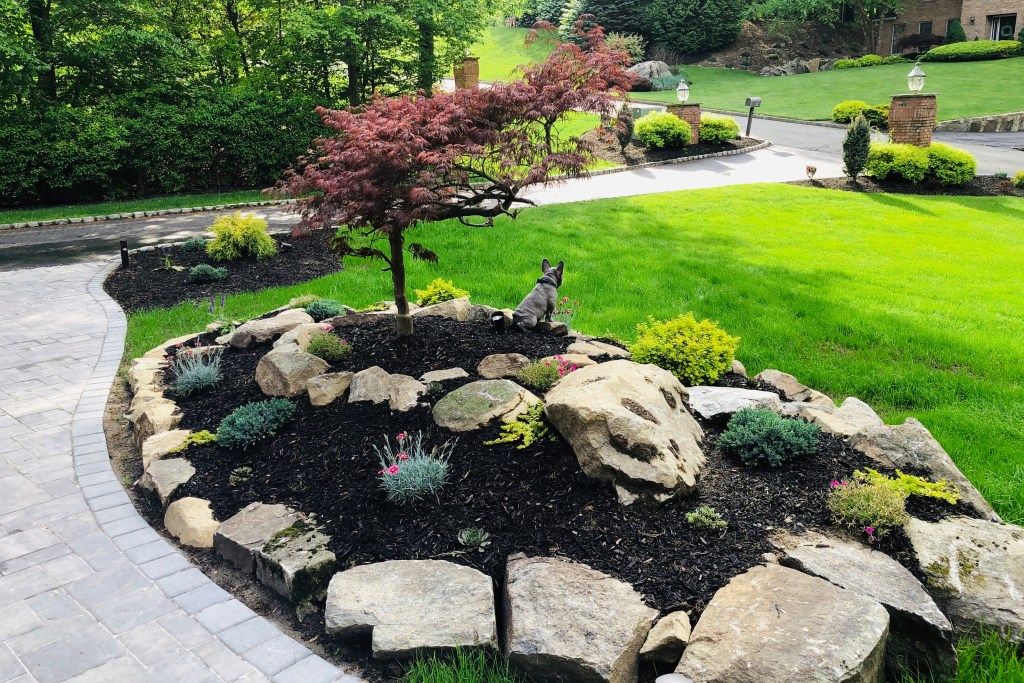 Spring front yard with small tree, and mulched flower bed