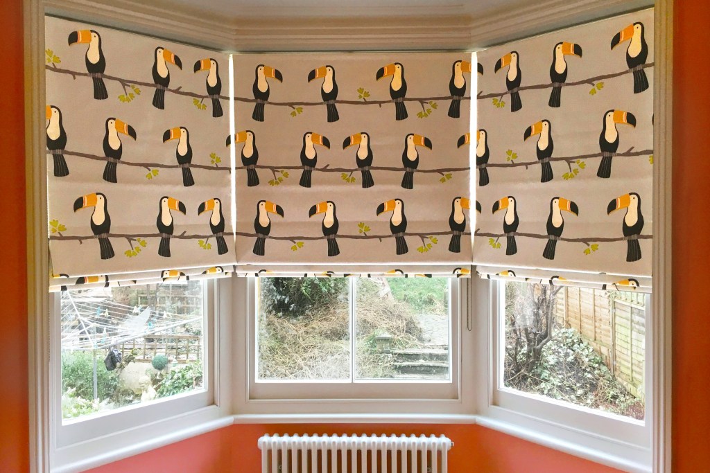 Roman shades in bay window with a toucan print