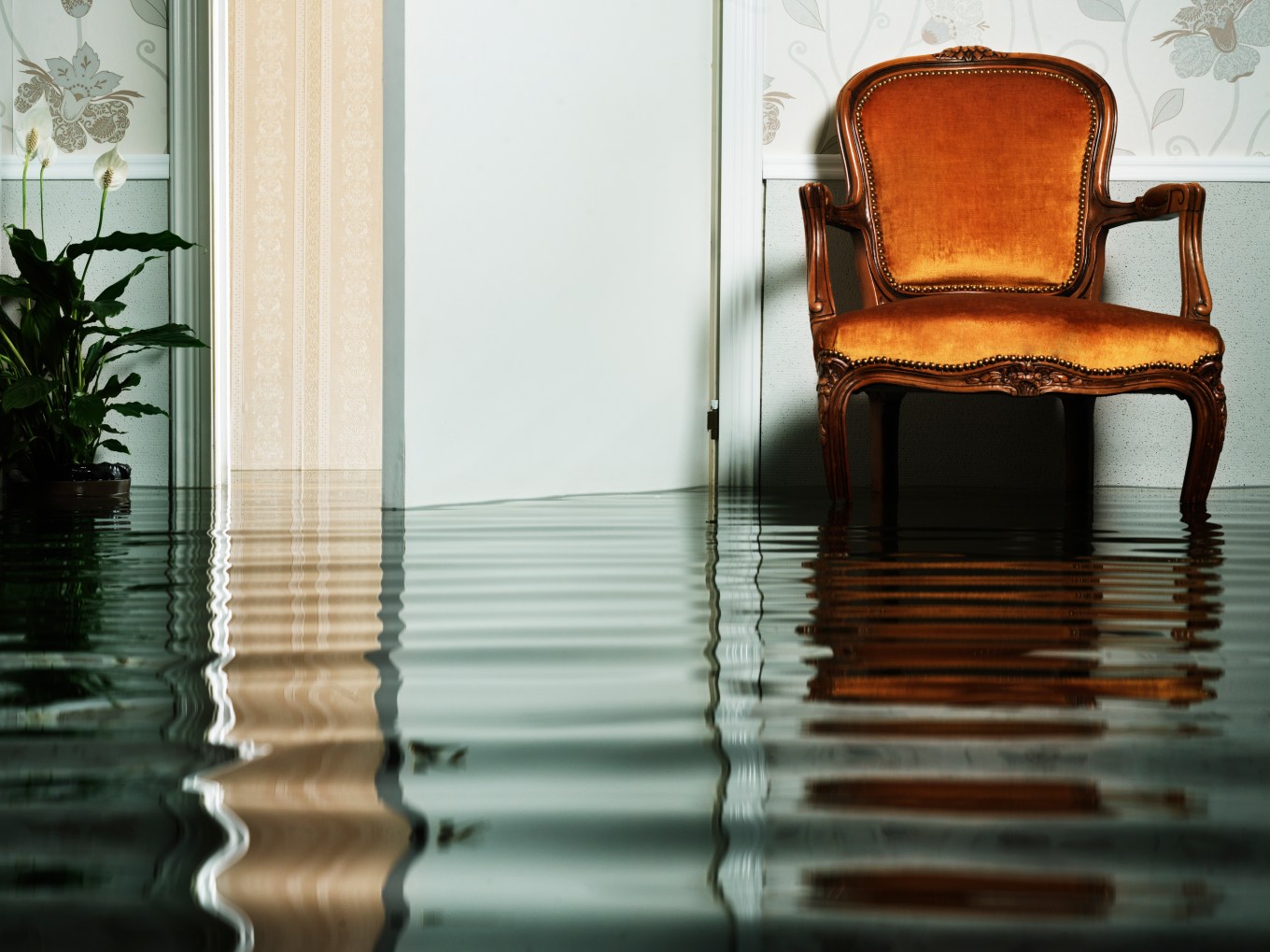 antique chair in flooded living room