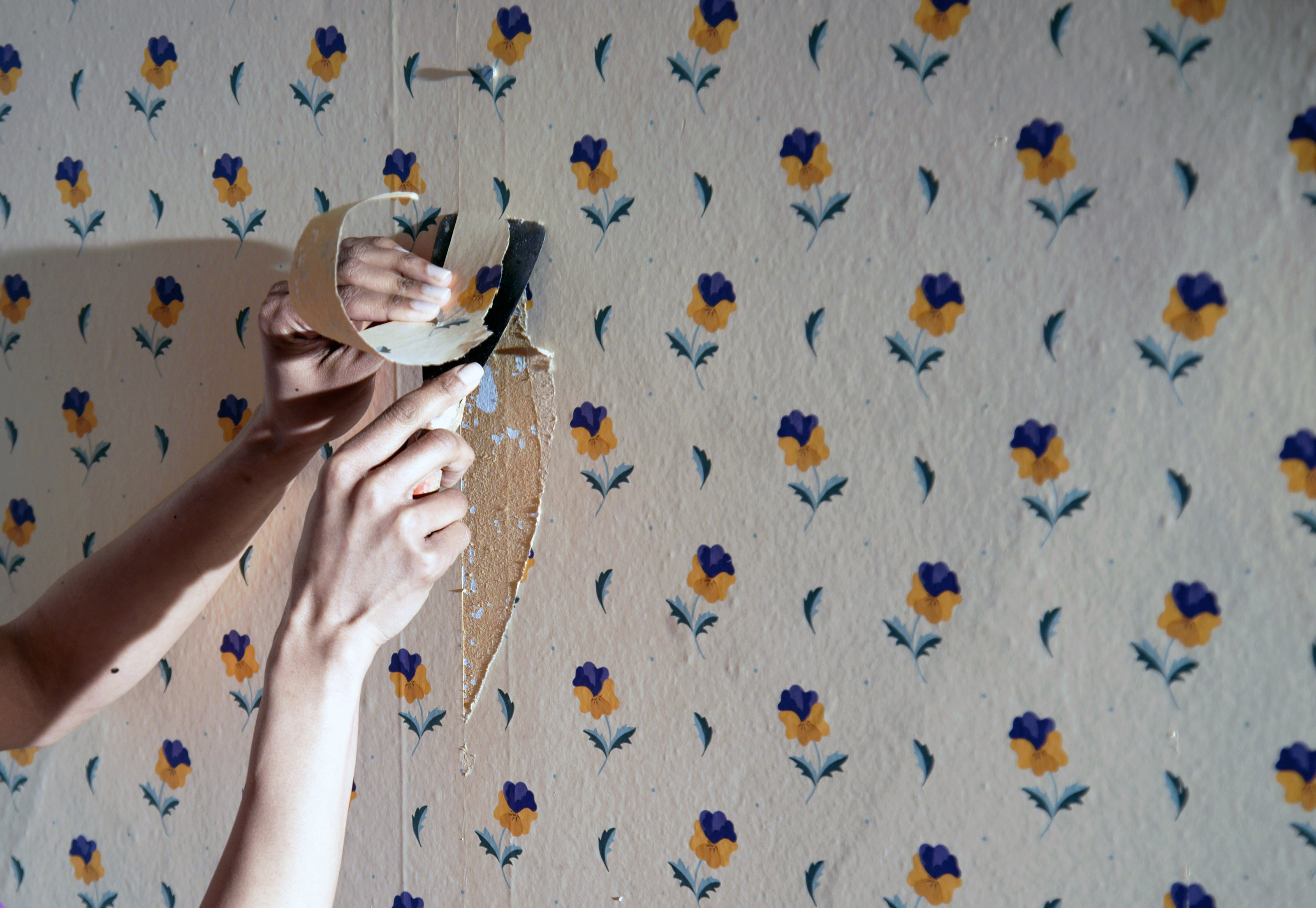 Peeling Old Wallpaper - Urban Exploration Photograph by Dirk Ercken - Pixels