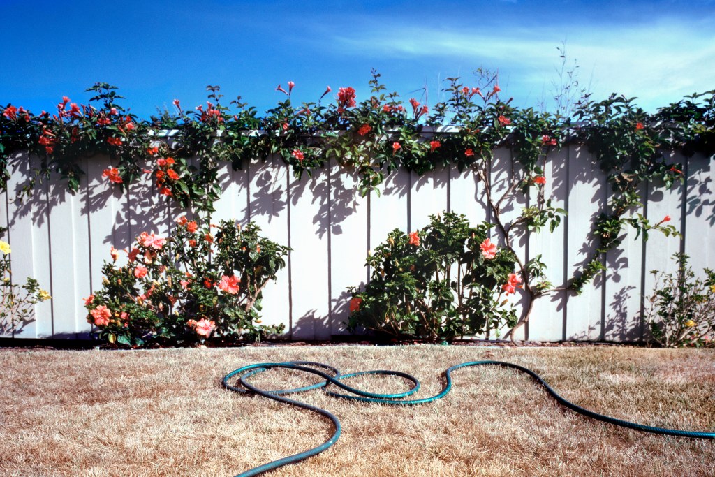 Landscaping-climate-change-hardscaping-groundcover-dead-grass-overgrown-fence