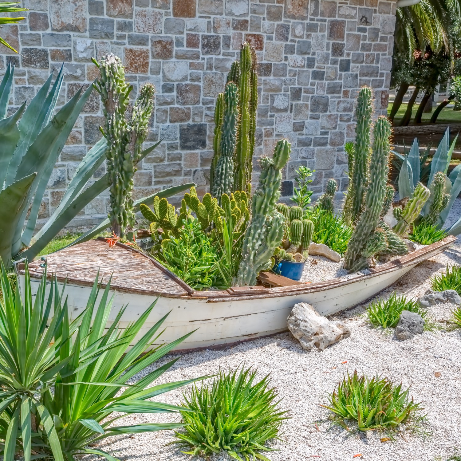 plants-dont-water-drought-boat-landscaping