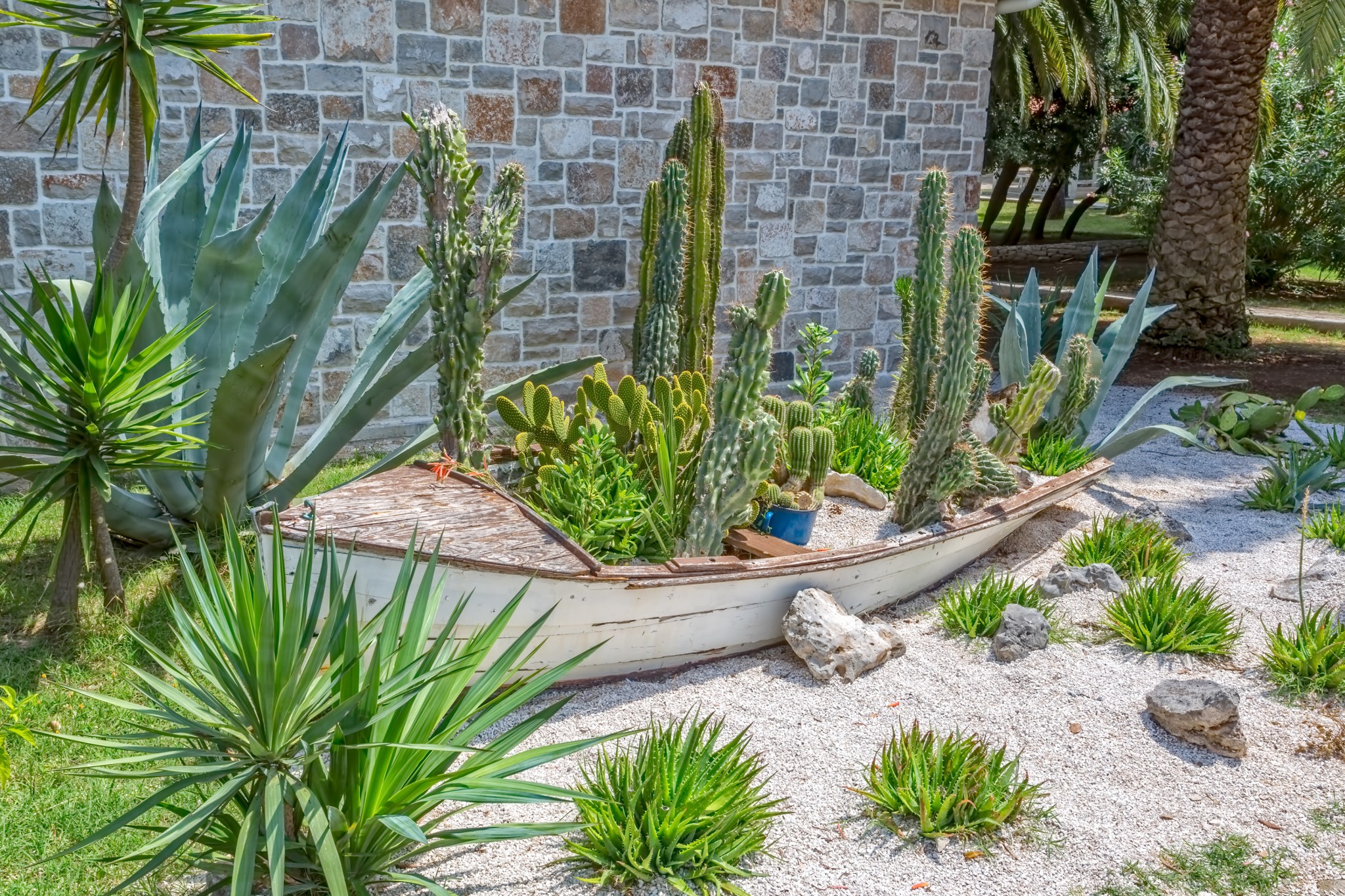plants-dont-water-drought-boat-landscaping