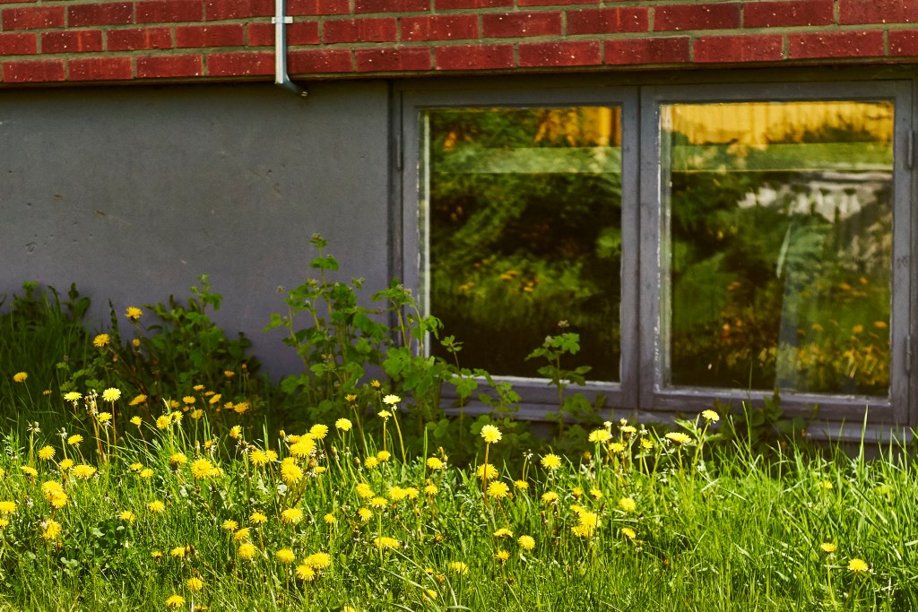 egress-window-cost-to-install-exterior-old-window