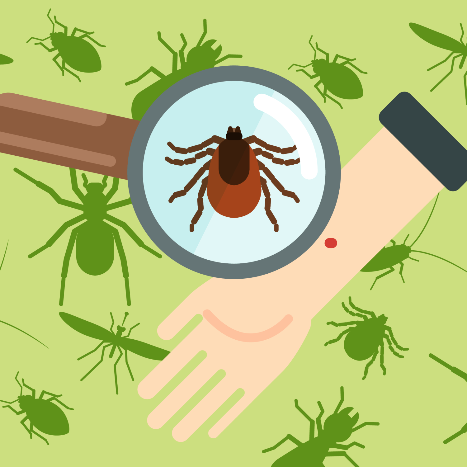 how-to-get-rid-of-ticks-home-yard-pet-safety-illustration-tick-magnifying-glass