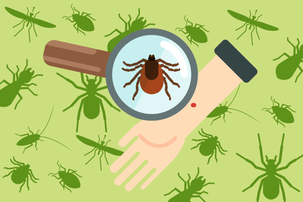 how-to-get-rid-of-ticks-home-yard-pet-safety-illustration-tick-magnifying-glass