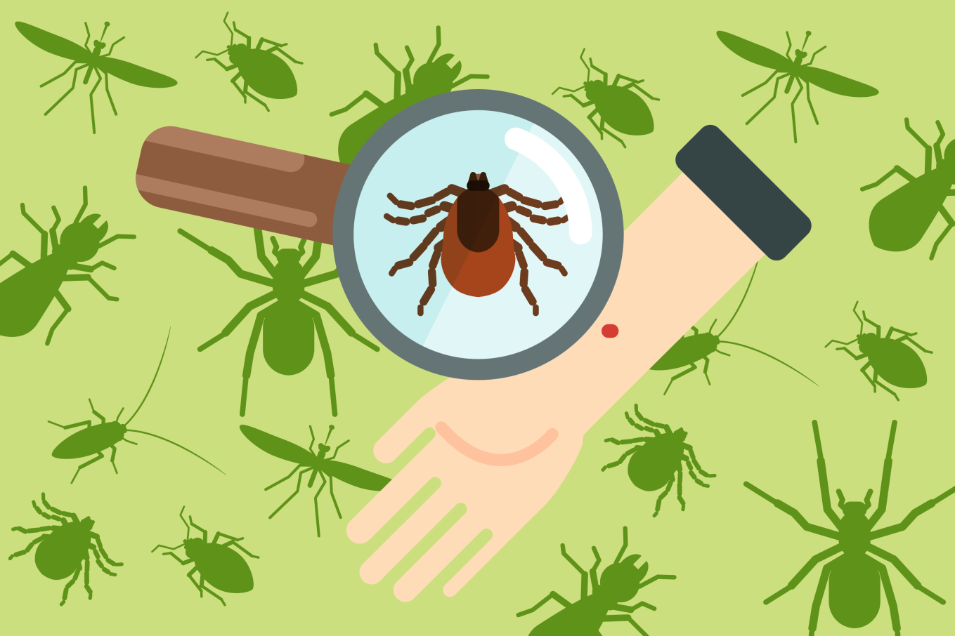 how-to-get-rid-of-ticks-home-yard-pet-safety-illustration-tick-magnifying-glass