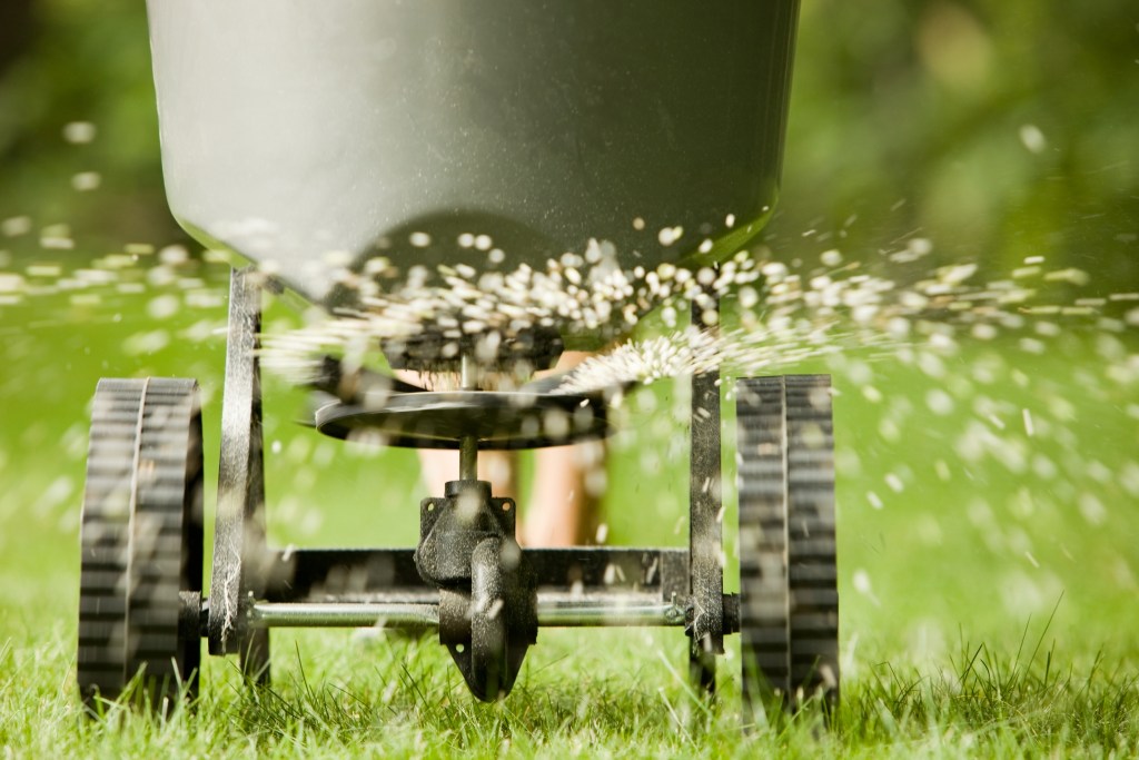 yard supplies for august save money close up fertilizer pelletes spraying from spreader