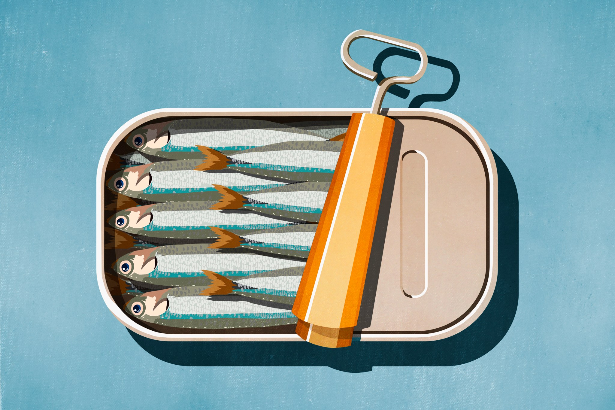Illustration of an open can of sardines on blue background.