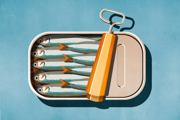 graphic of an open can of sardines on blue background