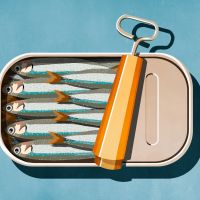 Illustration of an open can of sardines on blue background.