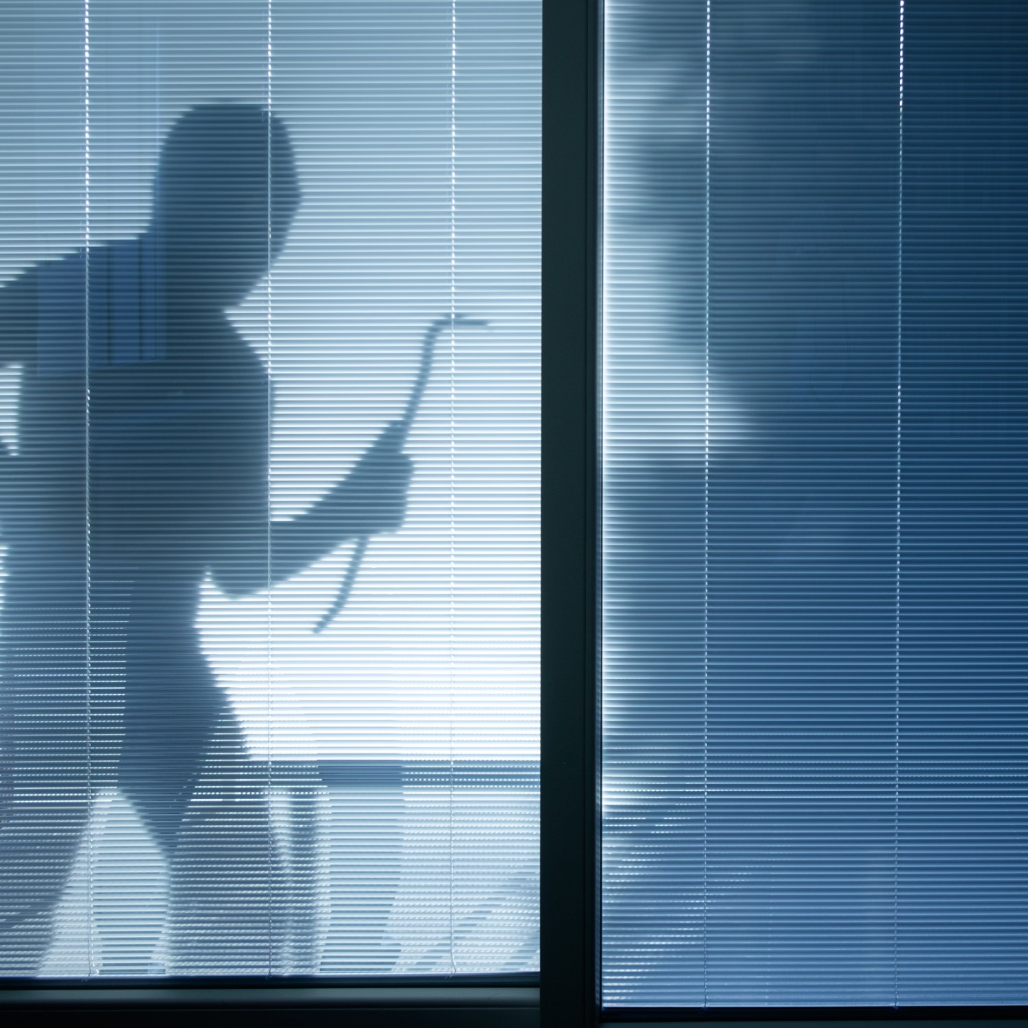 prevent break-in tips silhouette of a burglar wearing a balaclava holding a crowbar looking through a house window