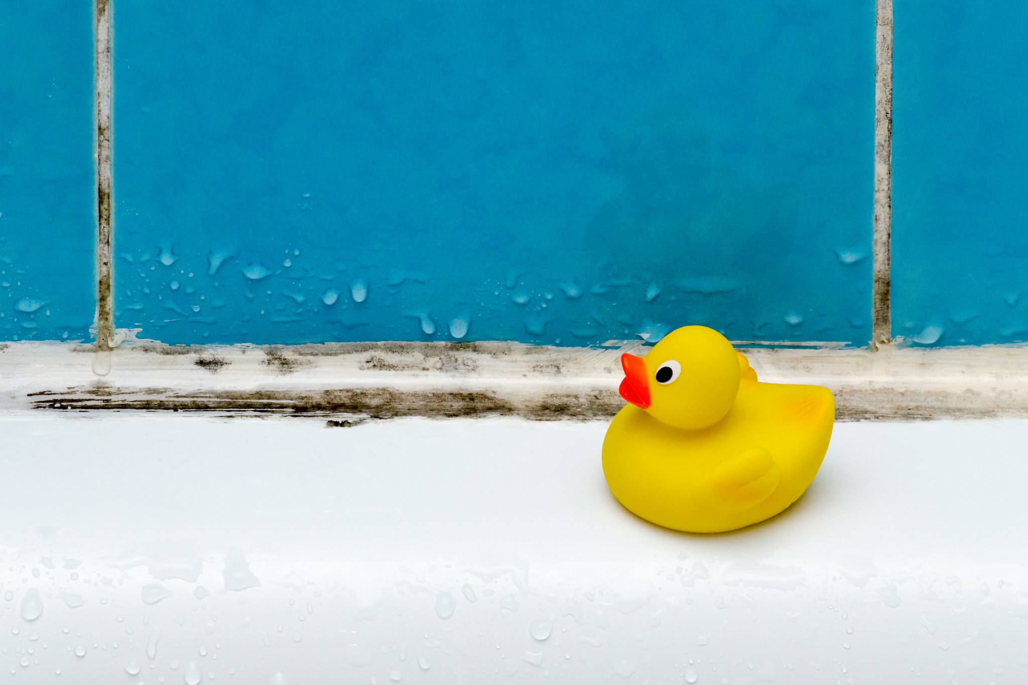 replace old caulk image of yellow rubber duck along edge of tub shower with moldy caulk with blue tile