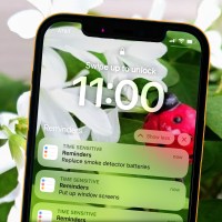image of cell phone reminder tasks for March to do now background of ladybug in lucky shamrock plant