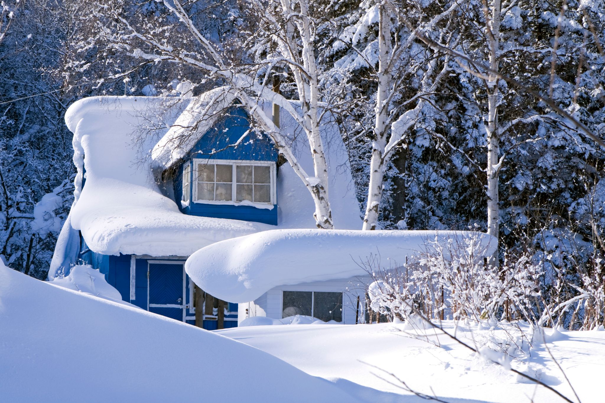 snowfall buried a blue house and roof and covered trees in winter landscape too much snow for roofs