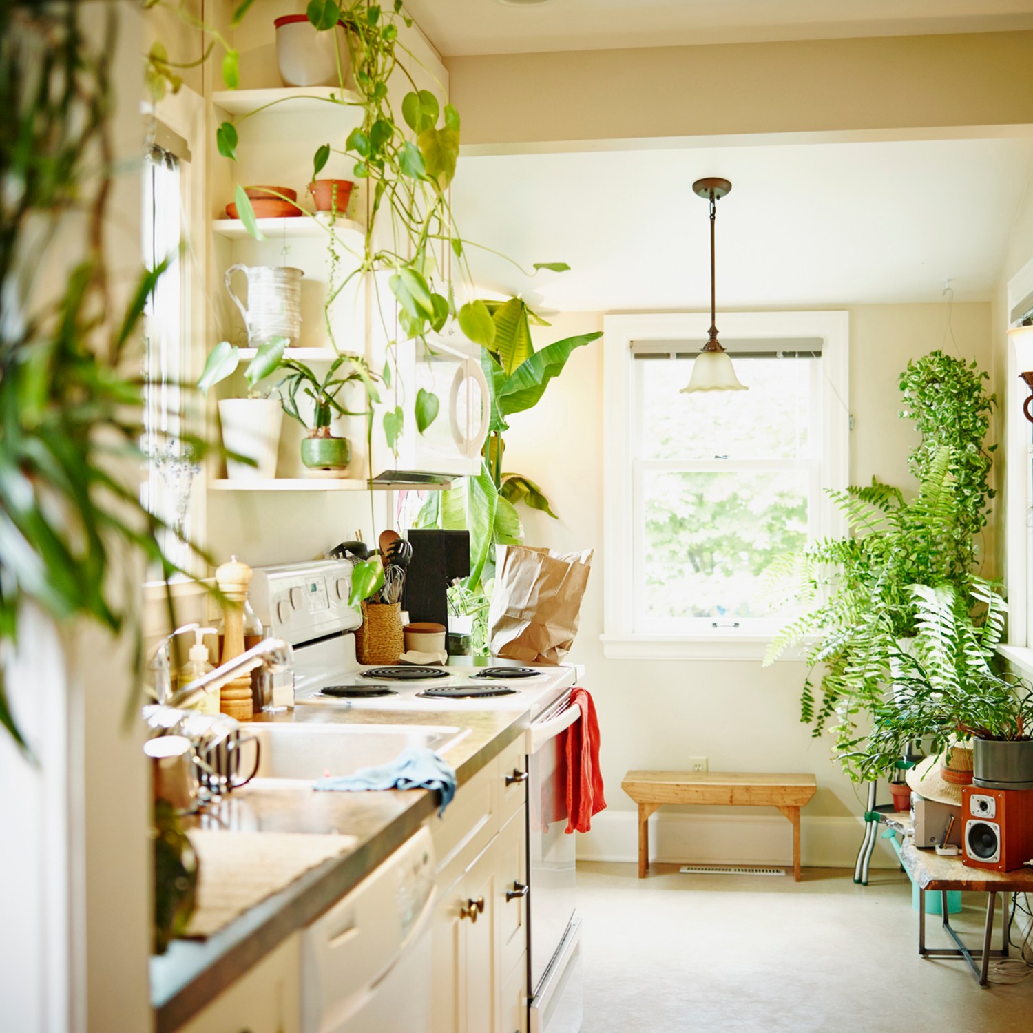 A light and bright kitchen with houseplants that will give a warm and cozy vibe year round.