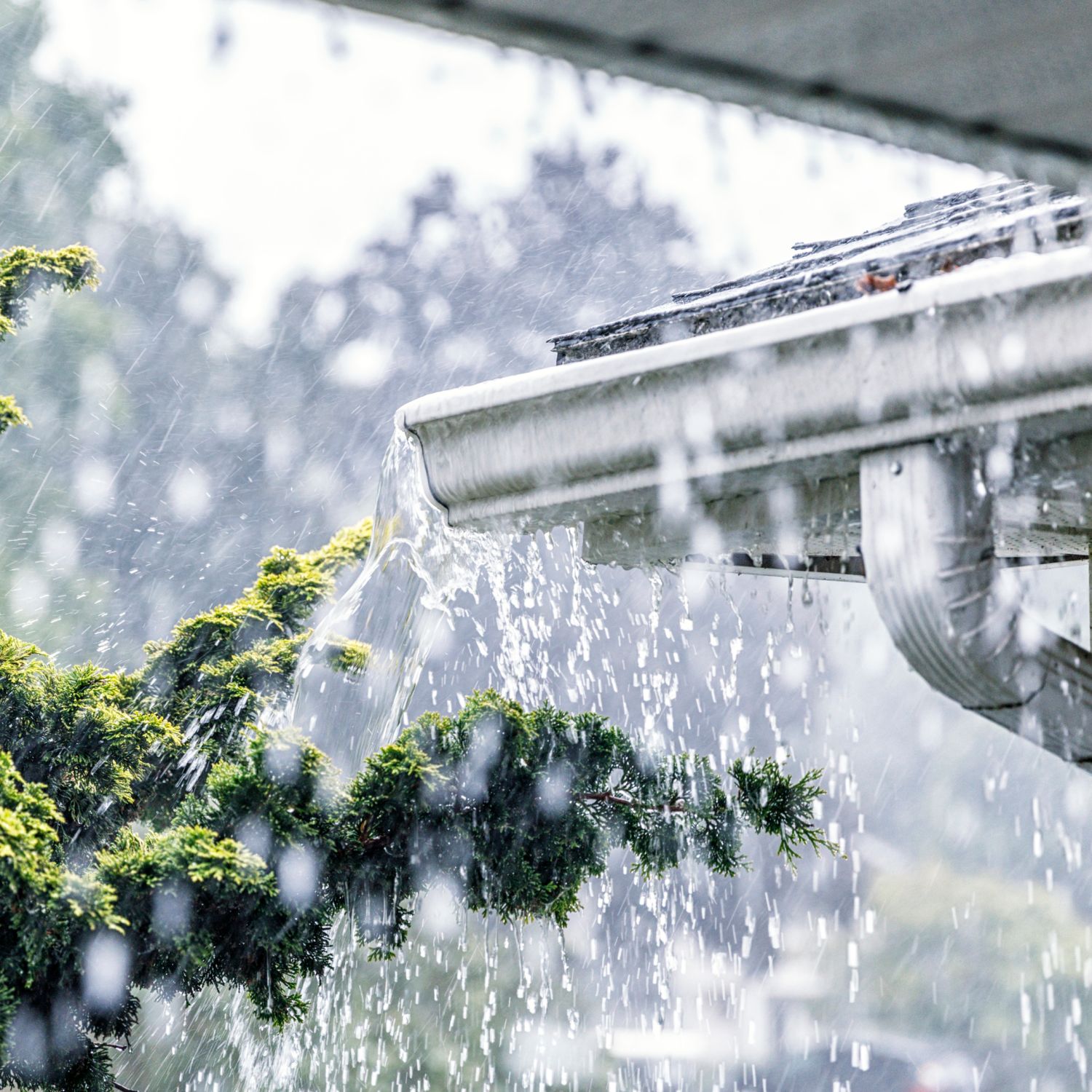 torrential rain overflowing clogged gutters pour water along house siding into foundation cause damage