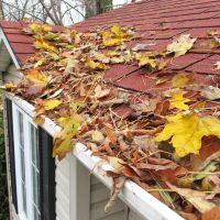 house rooftop covered with leaves clogging gutters needs cleaning and outdoor home maintenance
