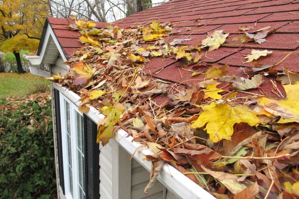 house rooftop covered with leaves clogging gutters needs cleaning and outdoor home maintenance