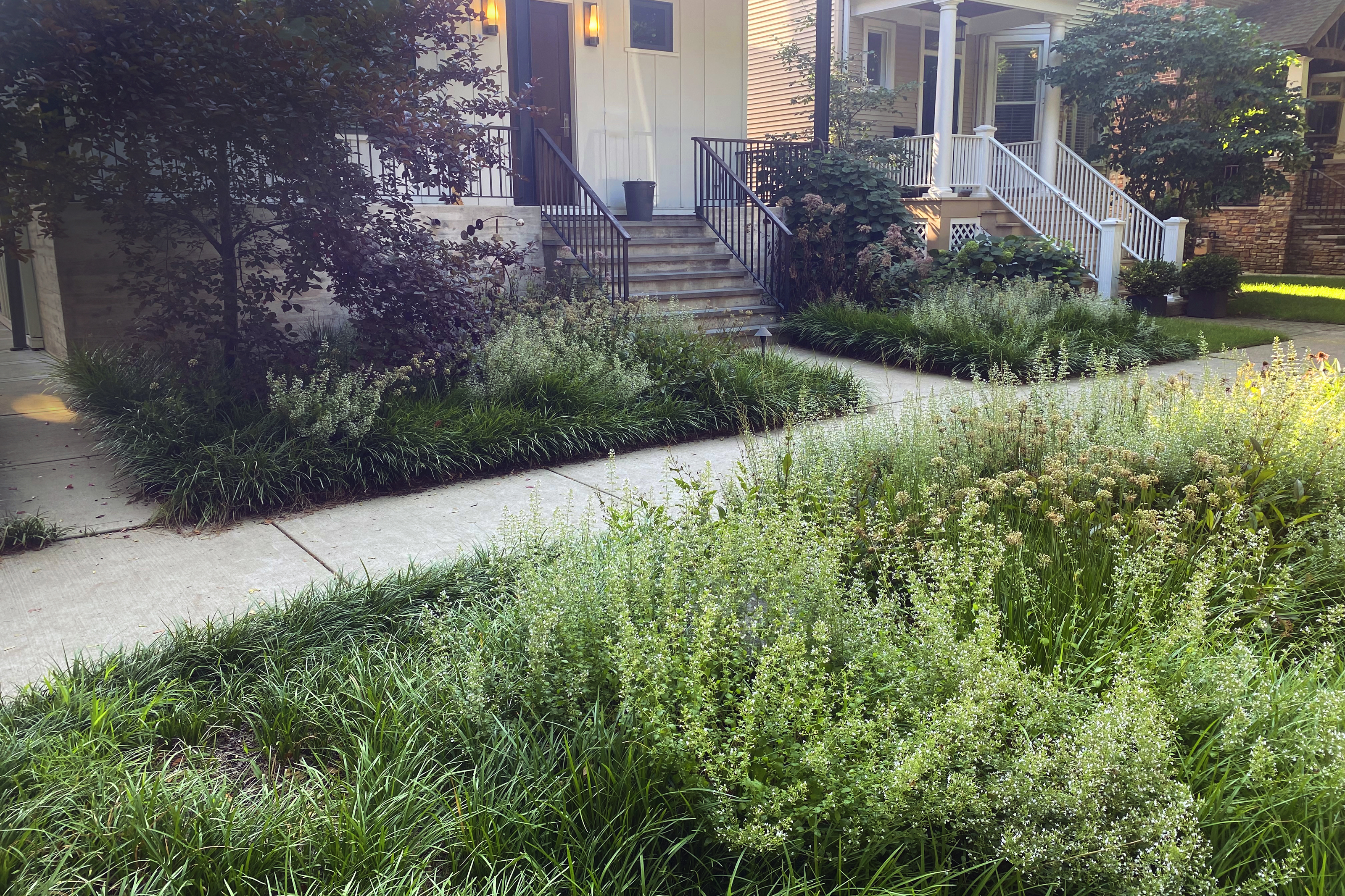 Lovely front yard with native grass.