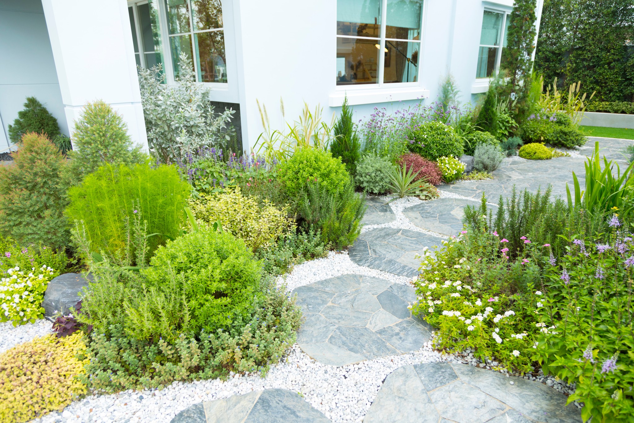 Lush landscaped garden and lawn with beautiful green plants and a stone walkway