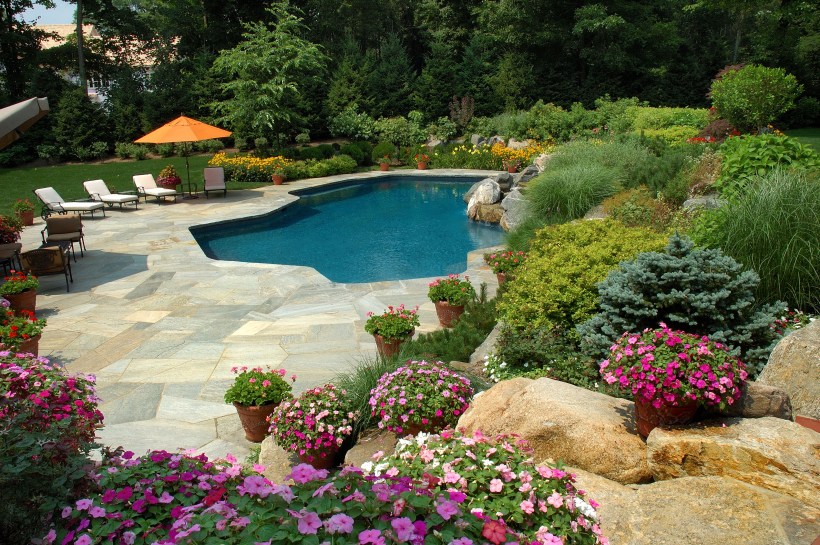 Backyard swimming pool with surrounding rocks and plants