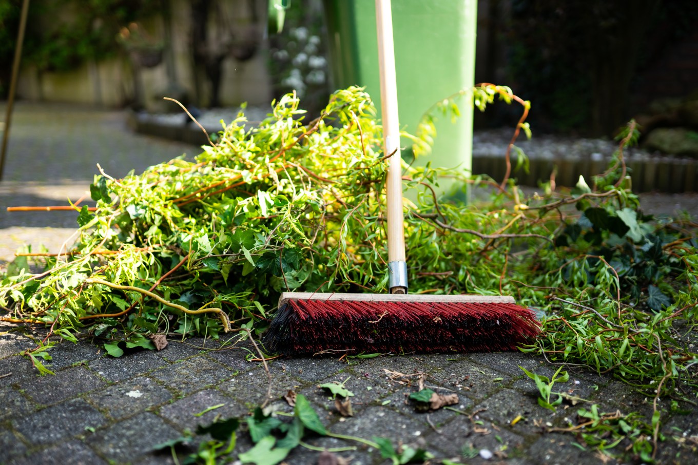 Cleaning up plants and sticks dislodged by wind.