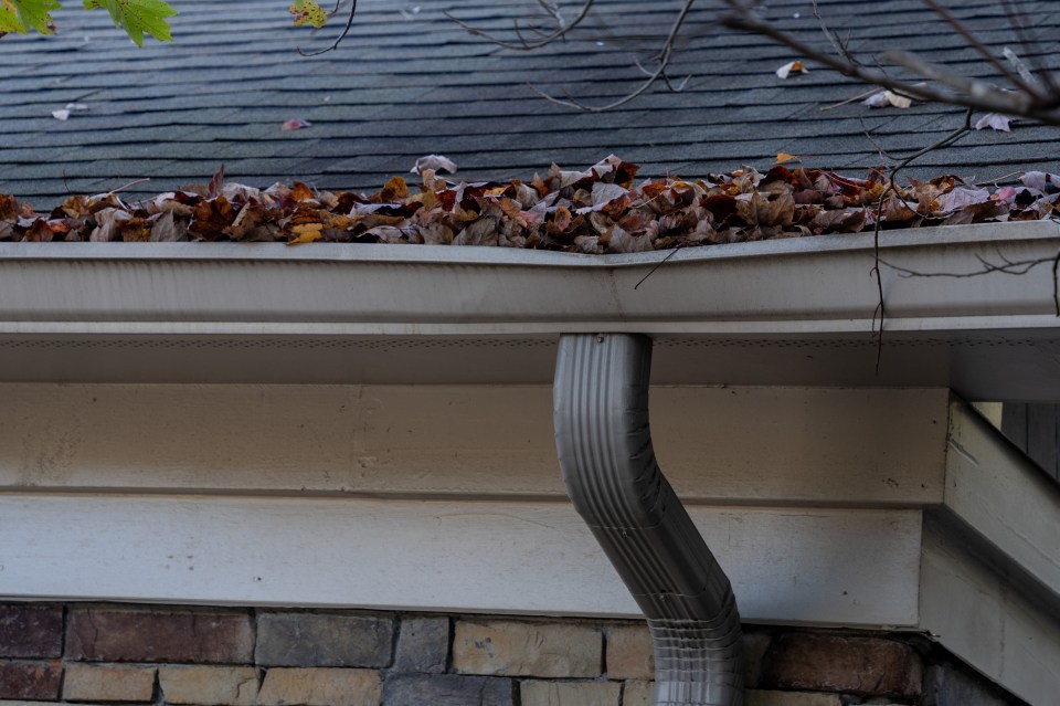 An overflowing gutter bending and separating from the house due to lack of maintenance.